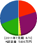 竹内産業 貸借対照表 2011年7月期