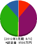 磐城電機 貸借対照表 2012年3月期
