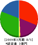 石井電工 貸借対照表 2009年3月期