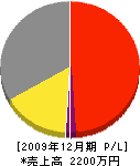 楠田電気工業所 損益計算書 2009年12月期