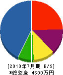 藤和グリーン 貸借対照表 2010年7月期