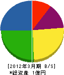 瀬戸内電気工業 貸借対照表 2012年3月期