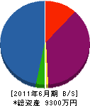 村上美建 貸借対照表 2011年6月期