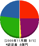 邑智組 貸借対照表 2008年11月期