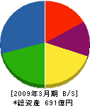 岩崎電気 貸借対照表 2009年3月期
