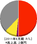 豊川舗装 損益計算書 2011年6月期