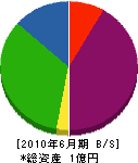 沖田鉄工 貸借対照表 2010年6月期