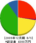 佐藤建具店 貸借対照表 2009年12月期