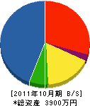 ヤマナ巧業 貸借対照表 2011年10月期
