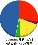 智山建設 貸借対照表 2009年5月期