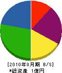 九州ボード 貸借対照表 2010年8月期