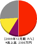 南雲造園 損益計算書 2009年12月期