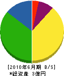 武田工務店 貸借対照表 2010年6月期