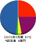 田奈建設 貸借対照表 2012年3月期