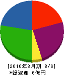 坂村建設 貸借対照表 2010年8月期