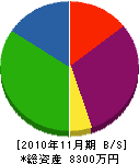 八崎興業 貸借対照表 2010年11月期