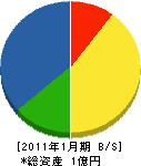 大興土木 貸借対照表 2011年1月期 大興土木 貸借対照表 2011年1月期