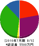 弘和電工 貸借対照表 2010年7月期
