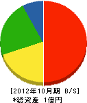 大川組 貸借対照表 2012年10月期