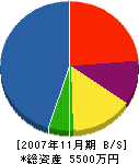 デーロス・ジャパン 貸借対照表 2007年11月期