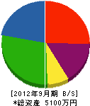 江藤工業 貸借対照表 2012年9月期