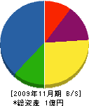 柳川建設 貸借対照表 2009年11月期