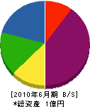 藤田建設 貸借対照表 2010年6月期