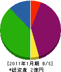 環境緑地 貸借対照表 2011年1月期