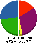 有木機工 貸借対照表 2012年9月期