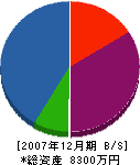 九州サッシ工業 貸借対照表 2007年12月期