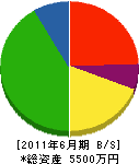 鎌田建設 貸借対照表 2011年6月期
