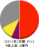 シンデンコー 損益計算書 2011年2月期