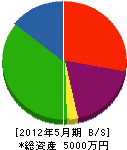 崎山重機 貸借対照表 2012年5月期