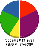 川崎重機 貸借対照表 2009年5月期