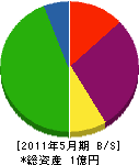 渡辺電設 貸借対照表 2011年5月期