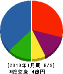 阿部砂利建設 貸借対照表 2010年1月期