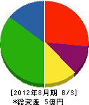 岩本工業 貸借対照表 2012年8月期