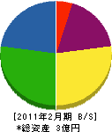 三栄通商 貸借対照表 2011年2月期