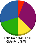 新潟建設工業 貸借対照表 2011年7月期