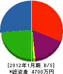 紫園 貸借対照表 2012年1月期