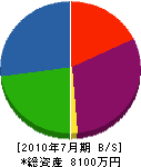 松村造園土木 貸借対照表 2010年7月期