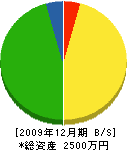 井上電気工事店 貸借対照表 2009年12月期