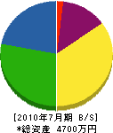 堀田建設 貸借対照表 2010年7月期