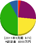 渓勝園 貸借対照表 2011年9月期
