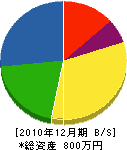 千葉塗装店 貸借対照表 2010年12月期