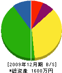 田野建設 貸借対照表 2009年12月期