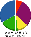 田上組 貸借対照表 2009年12月期