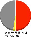 新設工業 損益計算書 2010年6月期