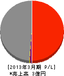 サンロード京阪 損益計算書 2013年3月期