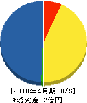 渡辺電気 貸借対照表 2010年4月期